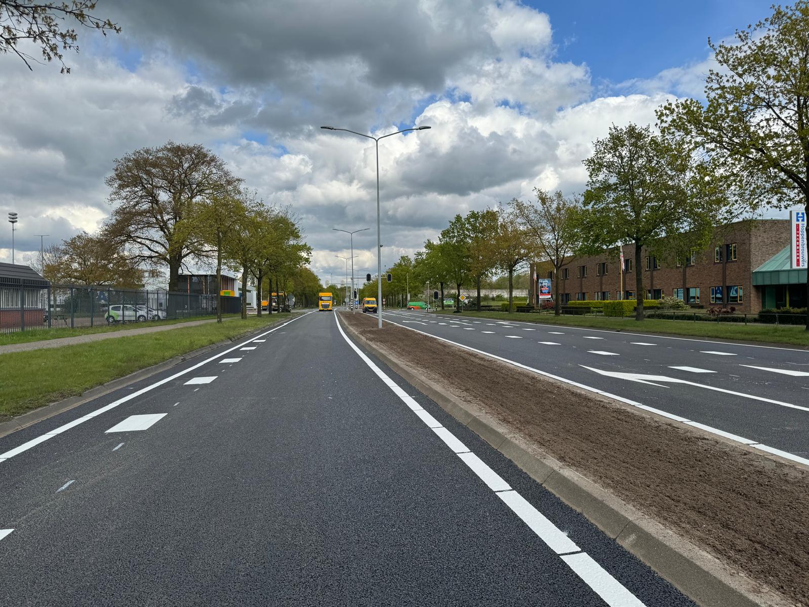 Foto groenstrook Bleskolksingel