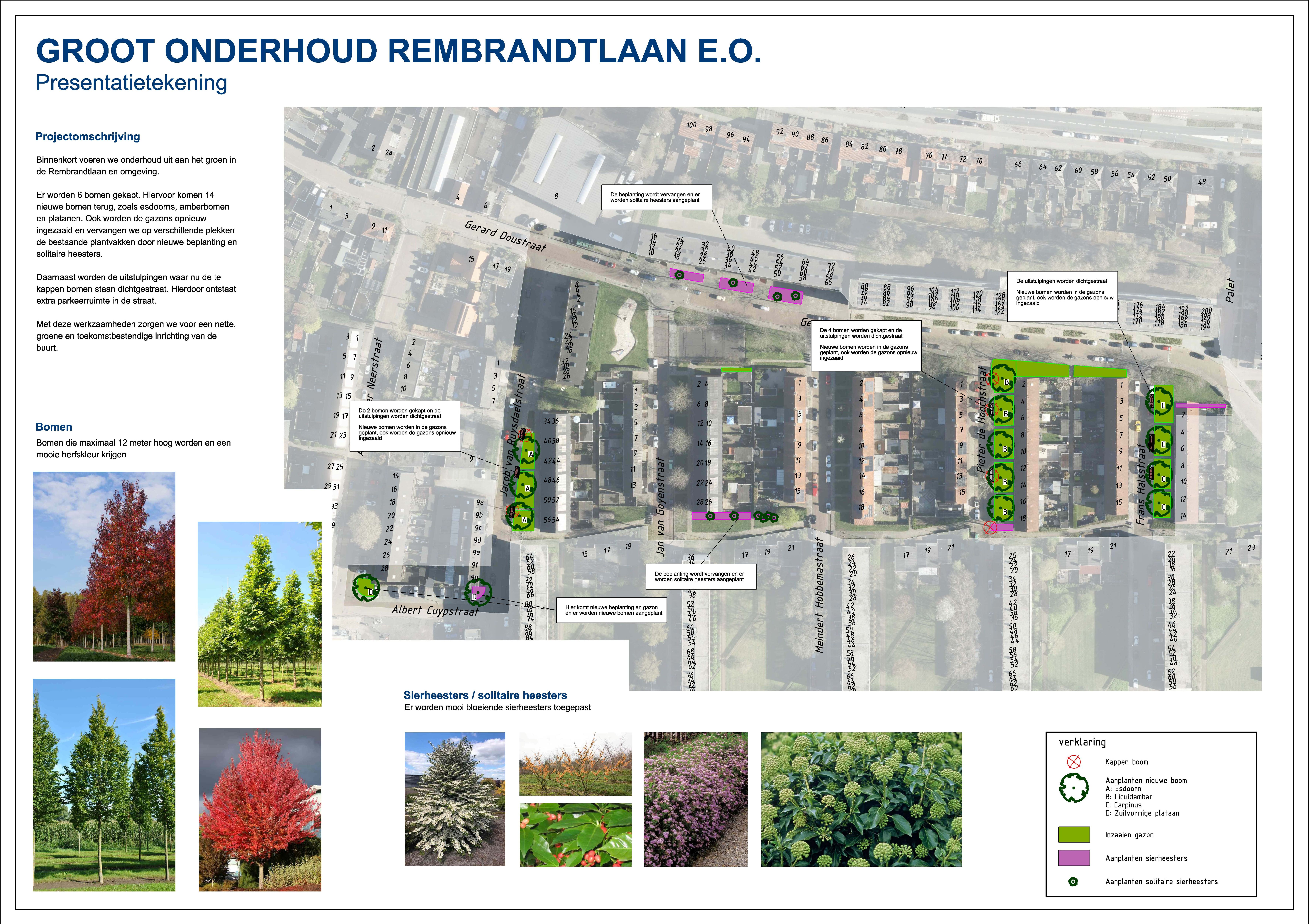 Langs de Jacob van Ruysdaelstraat worden 2 bomen gekapt. De uitstulpingen waarin deze bomen staan, worden dichtgestraat. In de bestaande grasstrook worden 3 esdoorns geplant. Langs de Pieter de Hoochstraat worden 5 amberbomen geplant in een nieuwe grasstrook. Langs de Frans Halsstraat worden 5 haagbeuken geplant in een nieuwe grasstrook. Aan de Albert Cuypstraat wordt 1 zuilvormige plataan geplant. Bij de kruising van de Pieter de Hoochstraat met de straat aan de zuidkant worden 4 bomen gekapt.