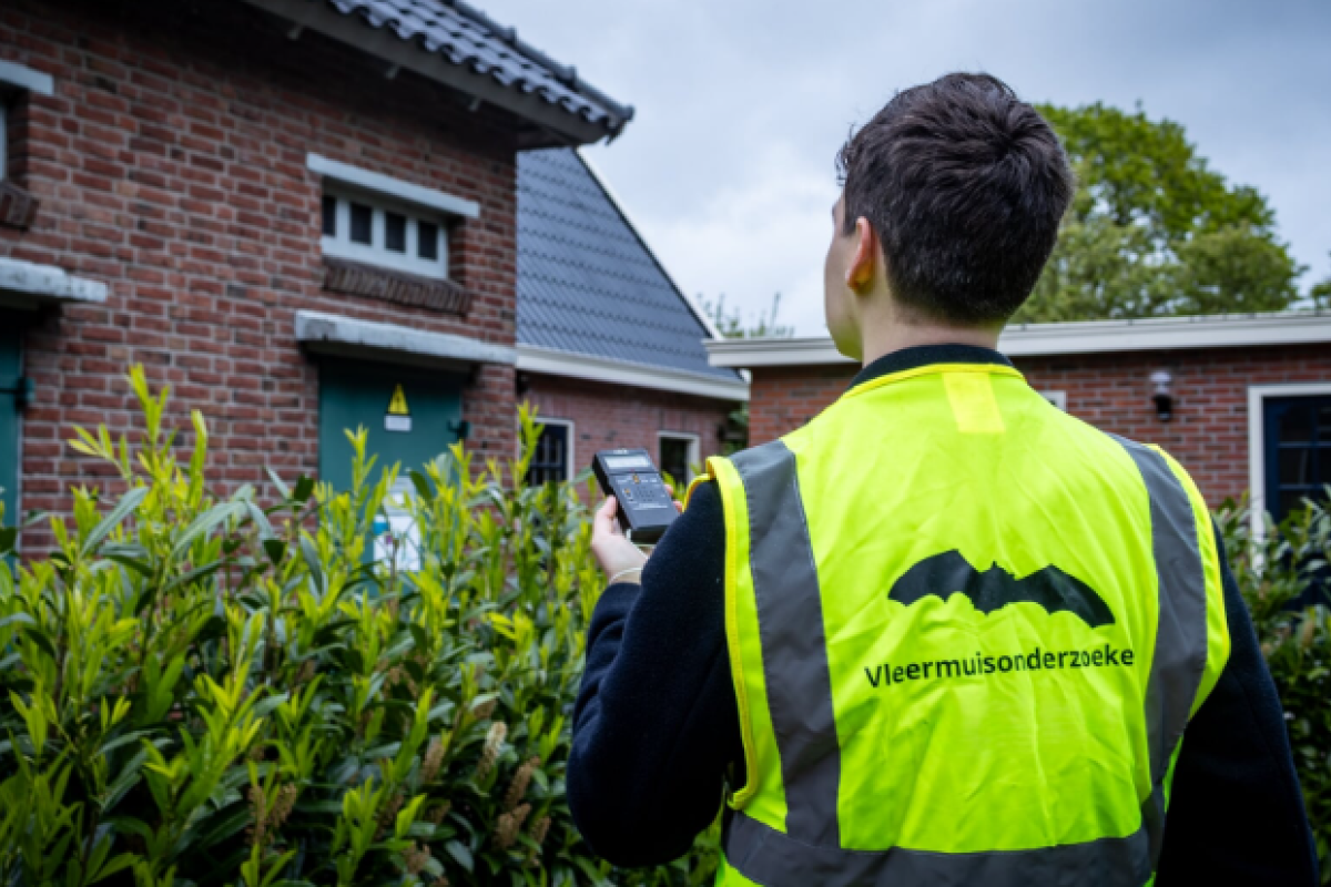 Vleermuis onderzoeker